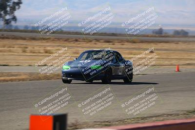 media/Nov-16-2024-CalClub SCCA (Sat) [[641f3b2761]]/Group 4/Grid and Front Straight/